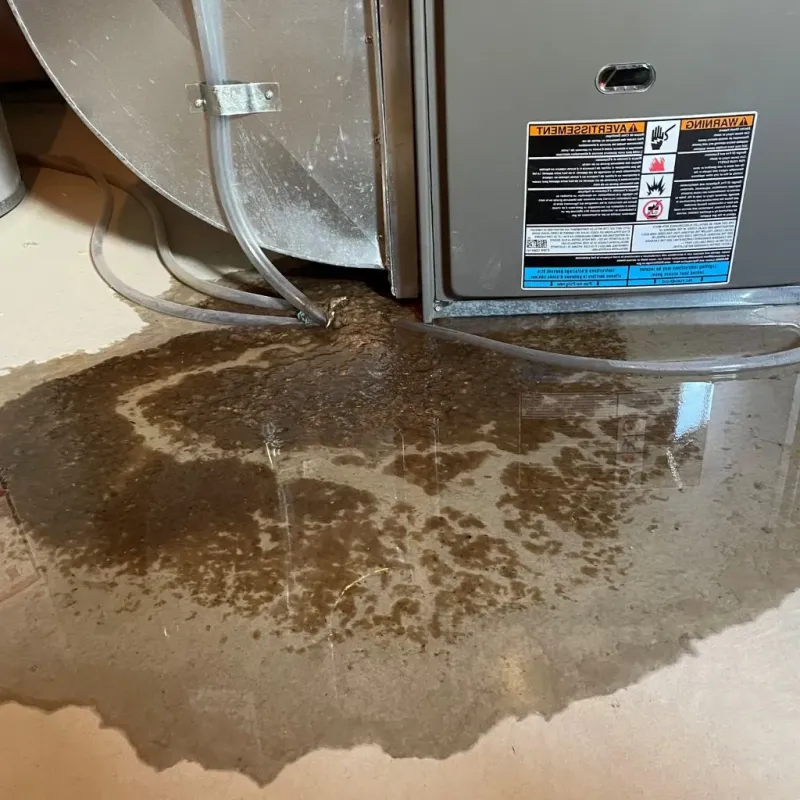 Pipe Burst and Leak Restoration in Borough Park, NY